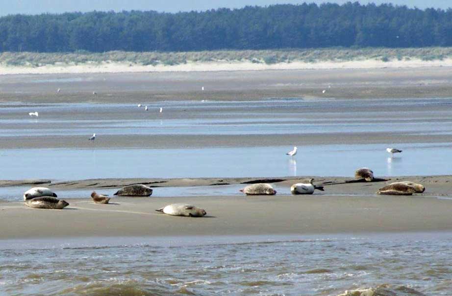 25 Jahre Freundschaft